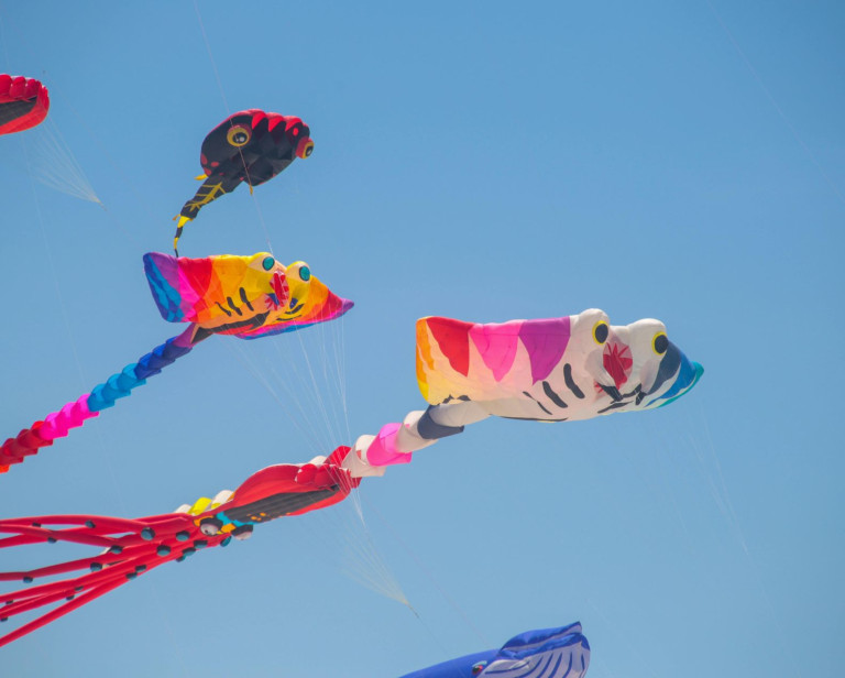 media.festival_aquiloni_cervia