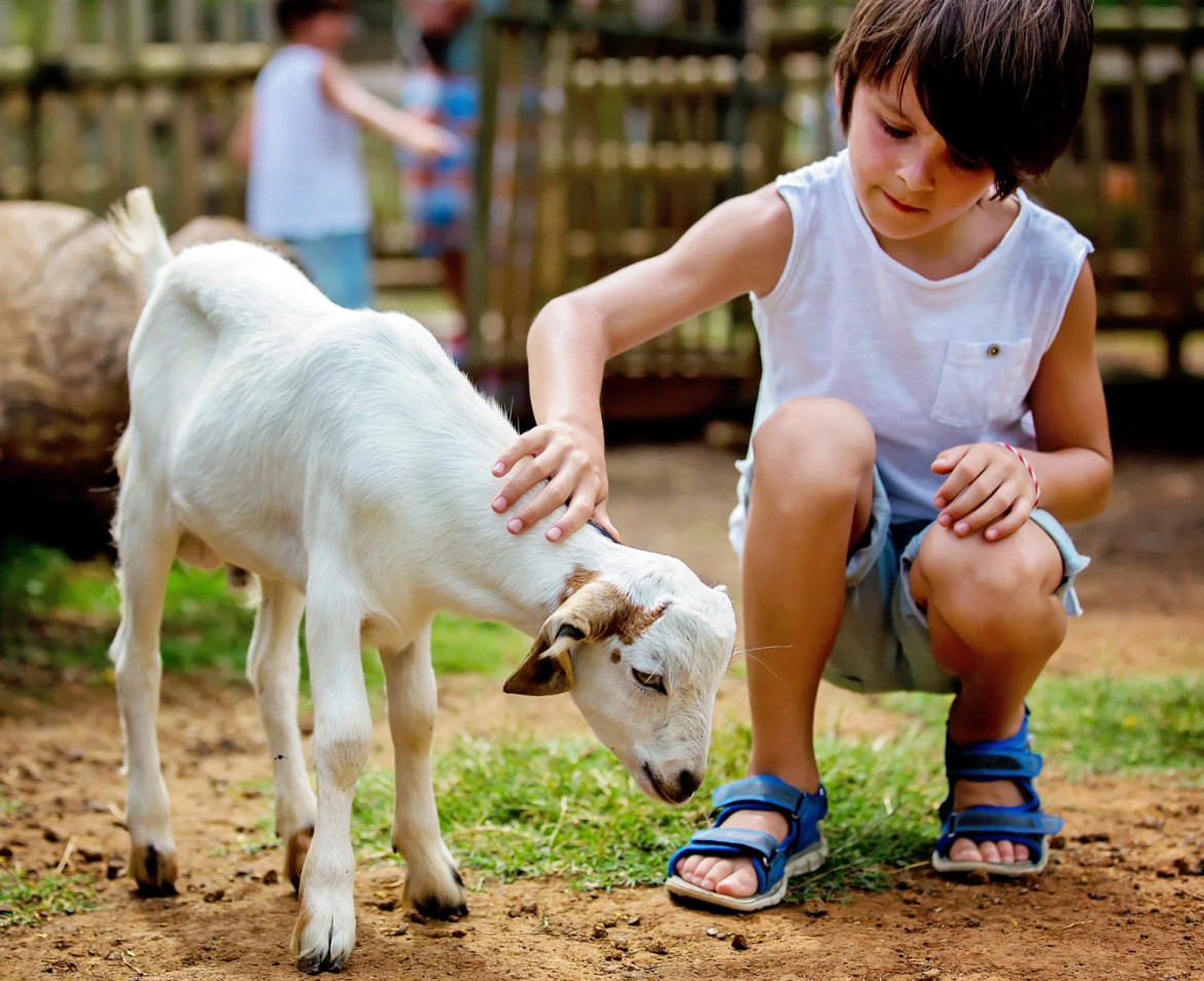 media.Slide_Parchi_4Hotel_David_LidoDiSavio