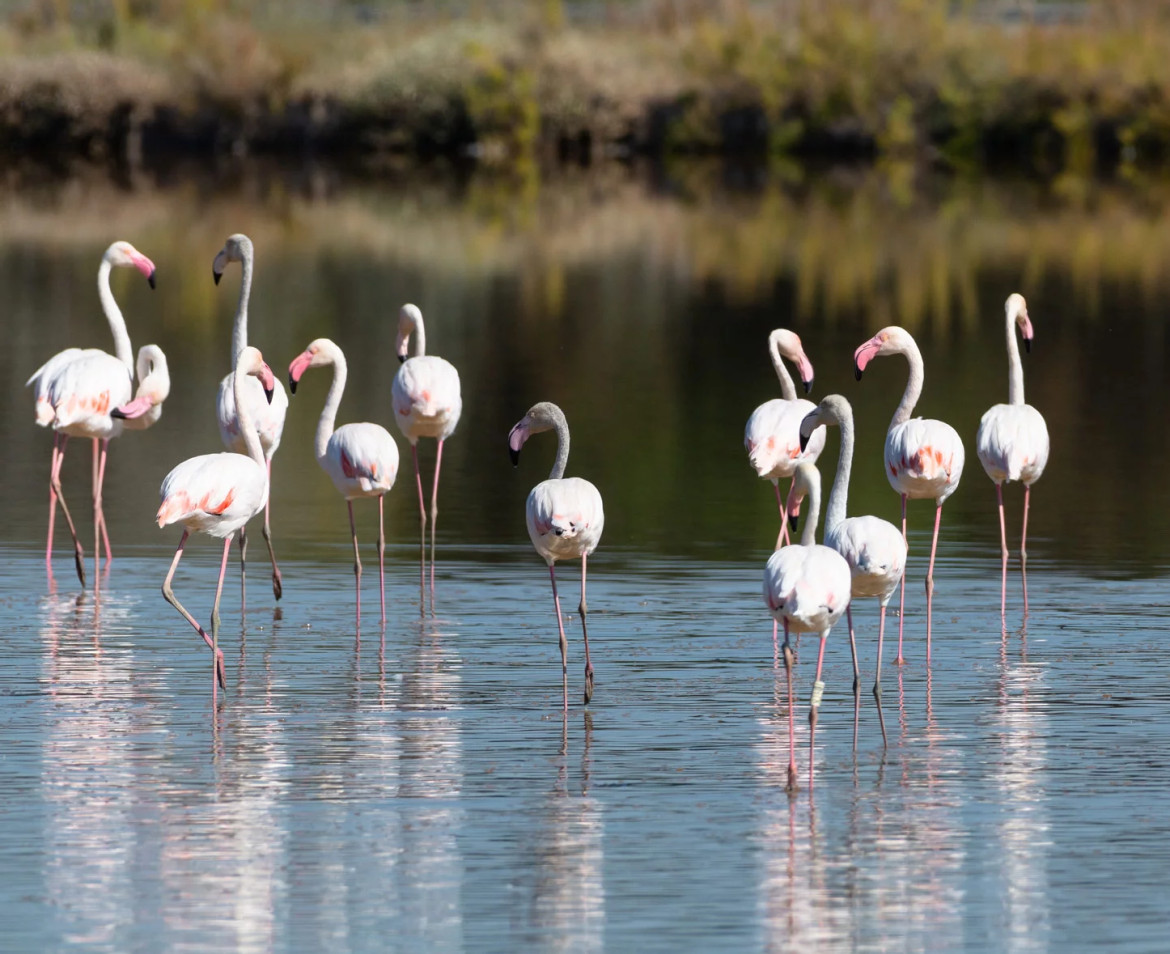 media.Slide_Parchi_6Hotel_David_LidoDiSavio