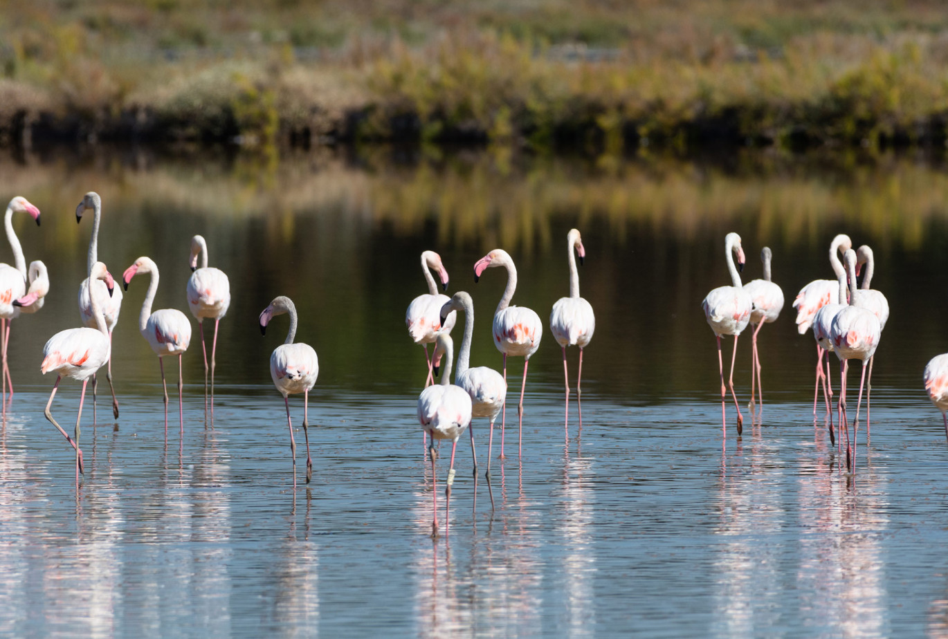 media.Slide_Parchi_6Hotel_David_LidoDiSavio